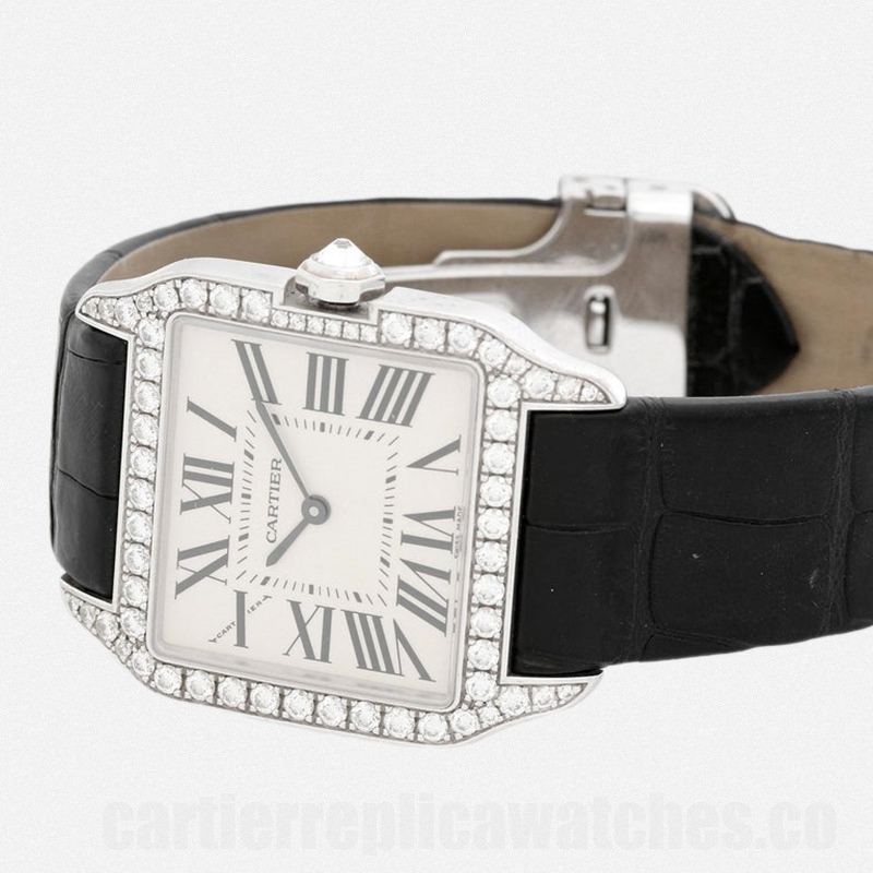 C-J-WH100251-4.jpg